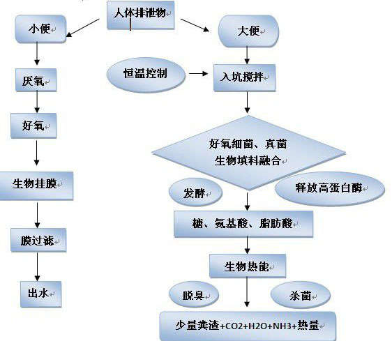 生态厕所功能效果图